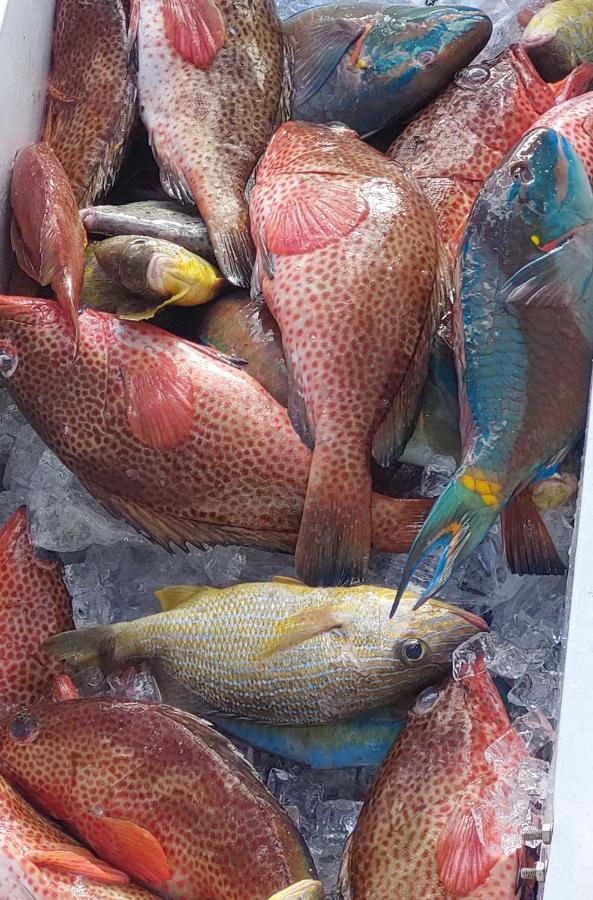 Fresh Cool Love Marigot  Ngoại thất bức ảnh